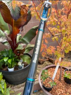 Long Beach super seeker 2x4