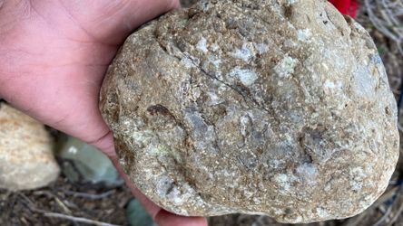 Rock