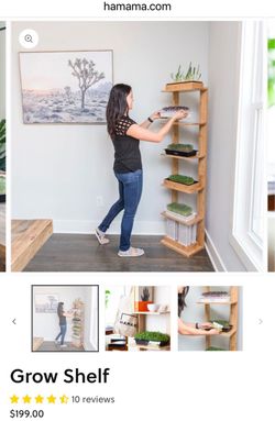 Hamama Bamboo Shelf. (Retails for $200)