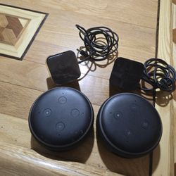 2 Amazon Echo Dot 3
