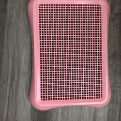 Dog Potty Training 