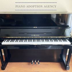 Yamaha U1 Piano - Free Tuning, Delivery, and Warranty
