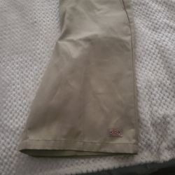 Dickies Carpenter Shorts