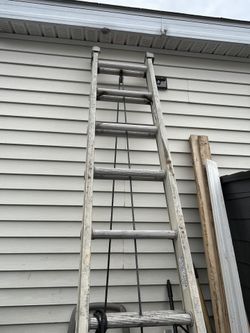 20” Ladder