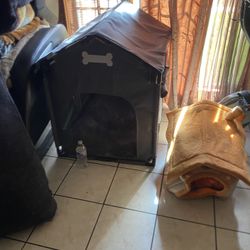 Dog House 