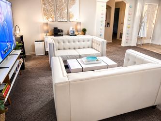 Elegant Pair of Love Seat/Couches