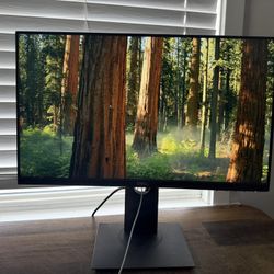 2 22” Dell Monitors With Cables 