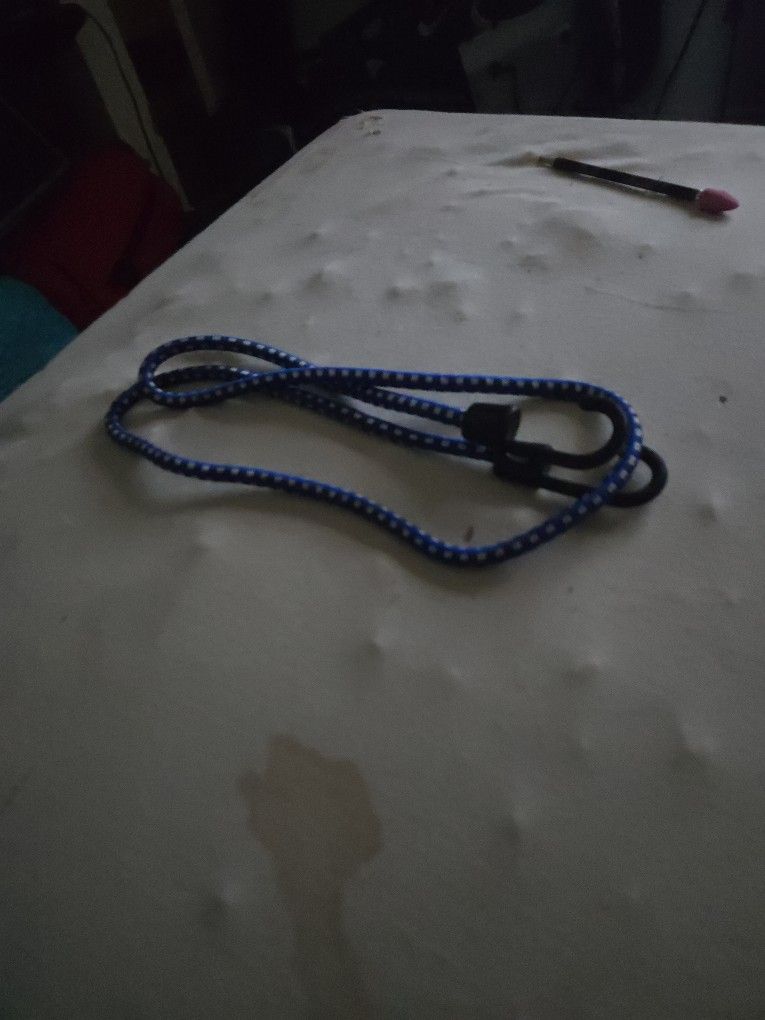 Bungee cord