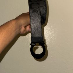 Coach belt