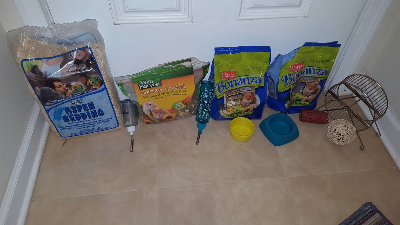 Hamster Food Hay Bedding Mulch Wheel Ball Toy Treats Bottles Food Bowls LOT