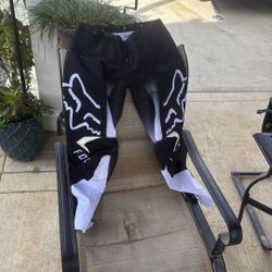 Fox 28Y Pants