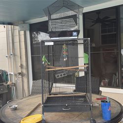 Bird cage