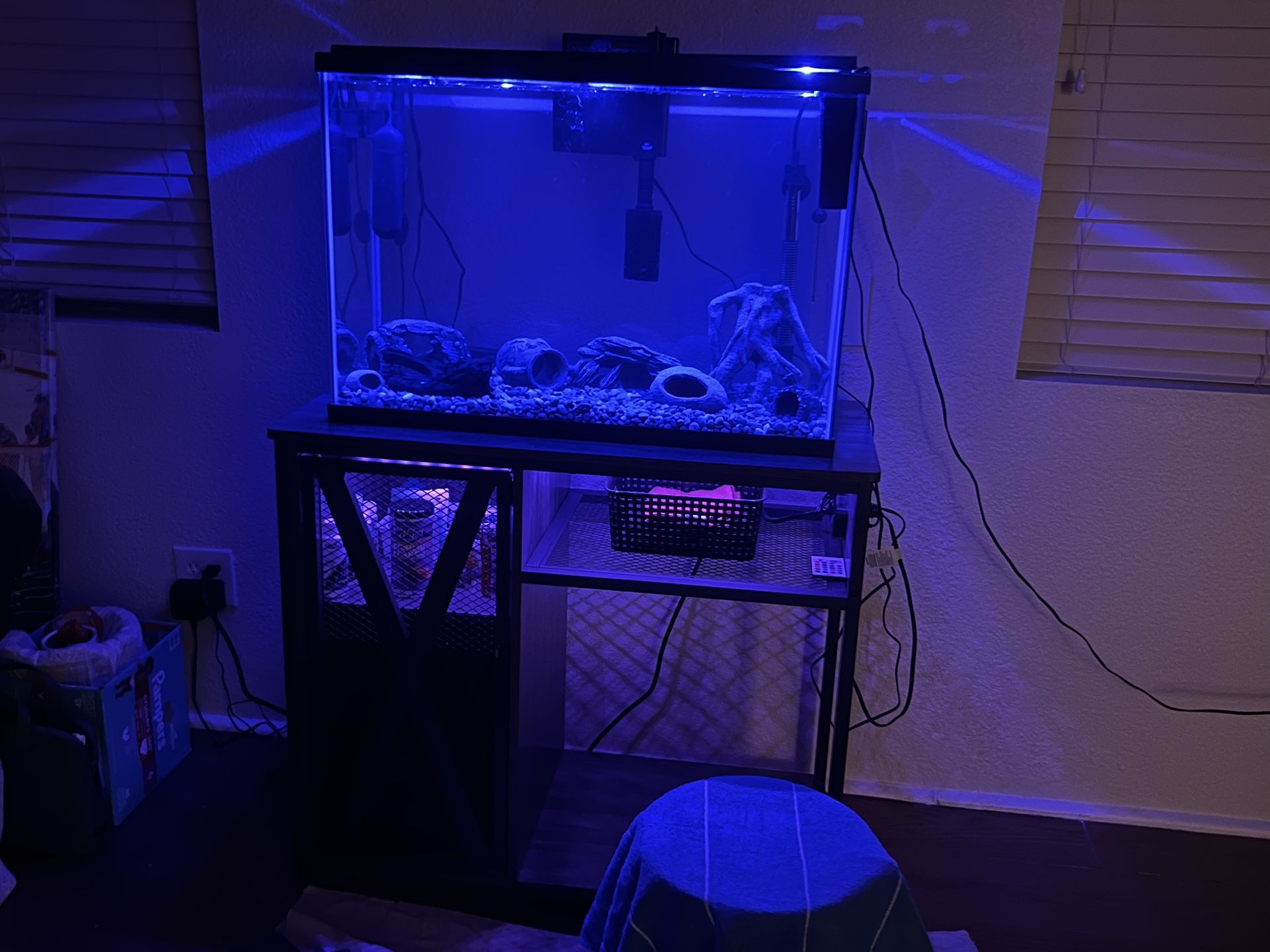 Fish Tank 29 Gallon With Fluval 307 And RGB Charging Port Table