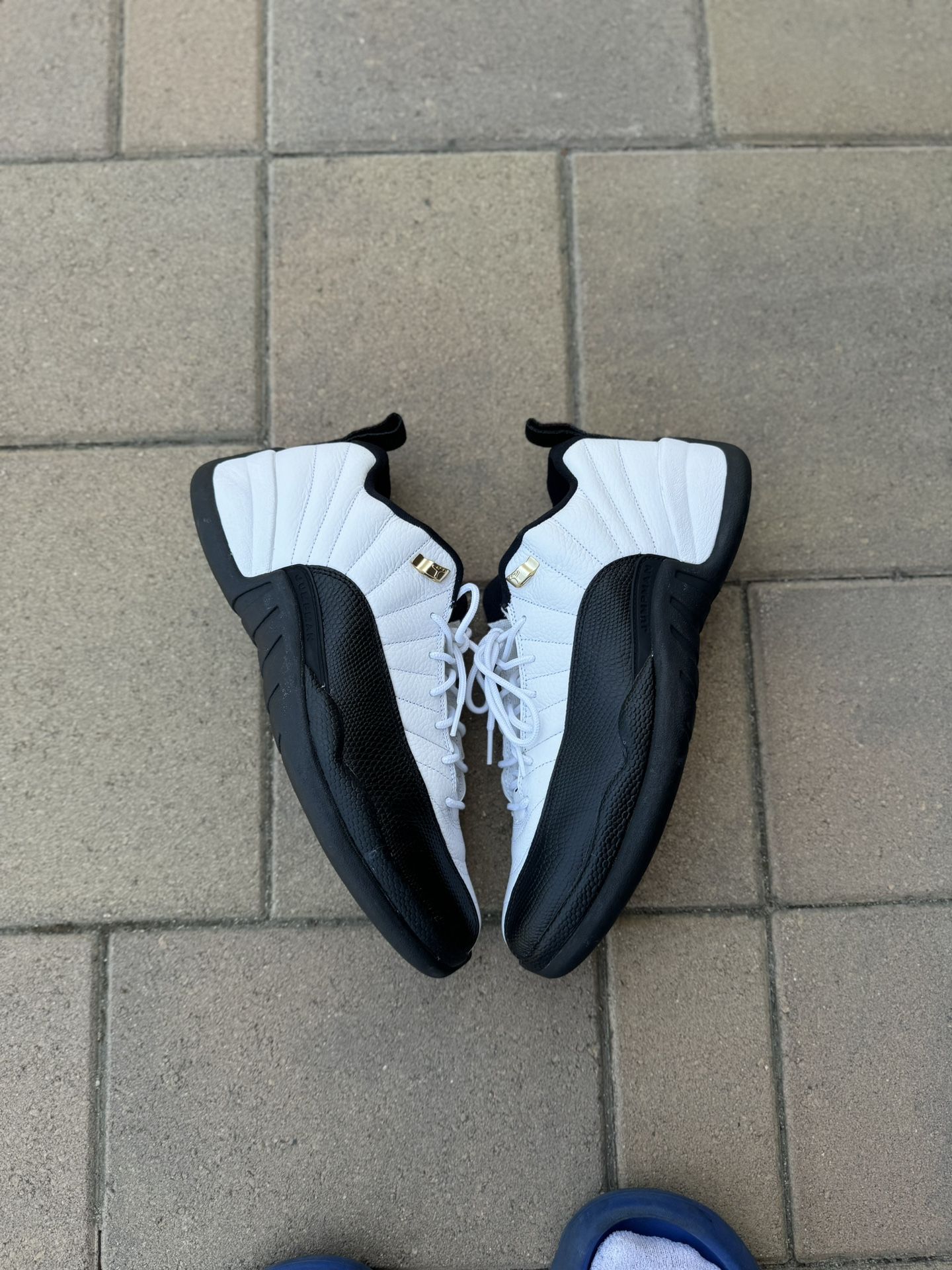 Jordan 11 Low Taxi size 11