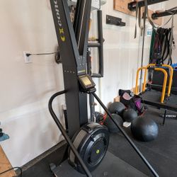 Concept 2 Skierg
