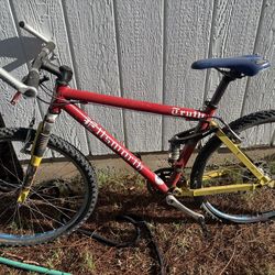 1998 Ellsworth Truth Mountain Bike