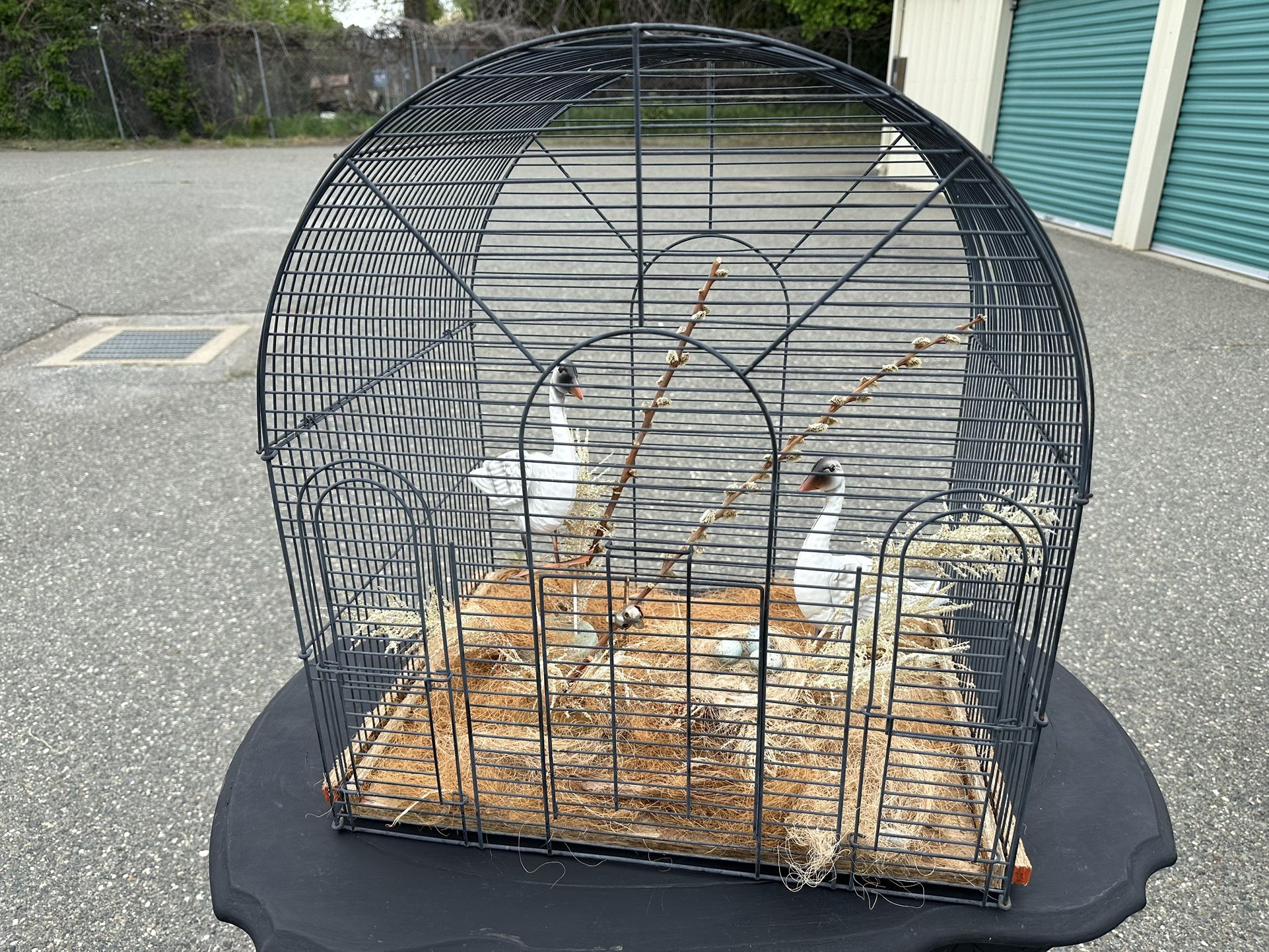 Art- Bird Cage