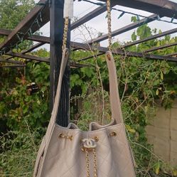 Beautiful Nude Color Bag