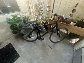 Raleigh Black Bicycle