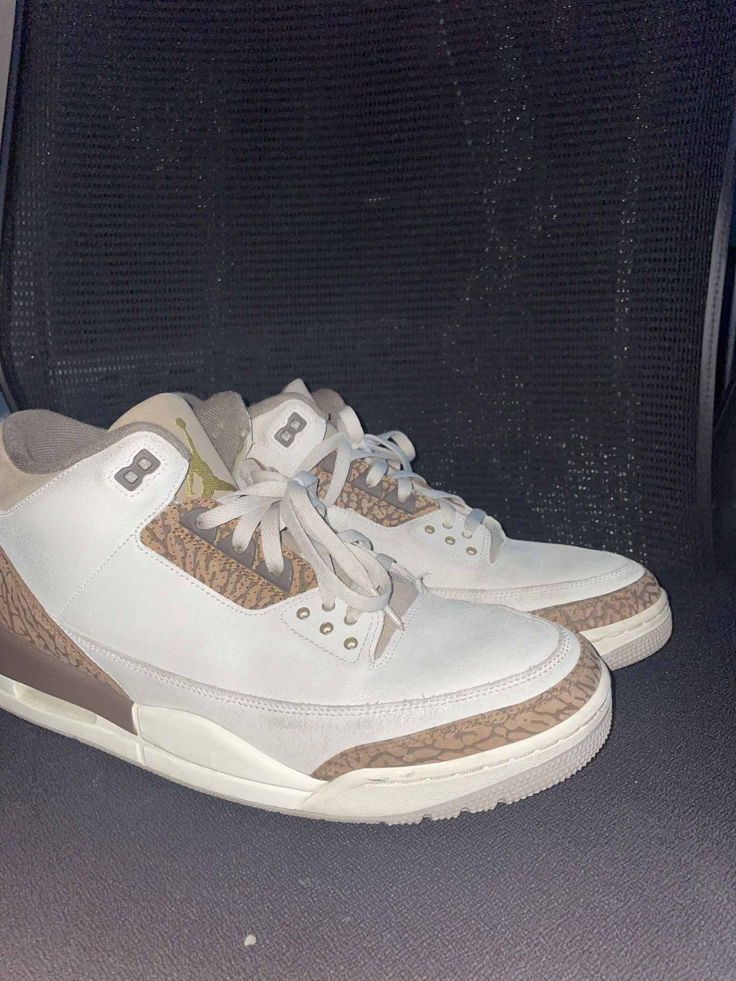 Jordan 3 Retro "Palomino" Men's Shoe