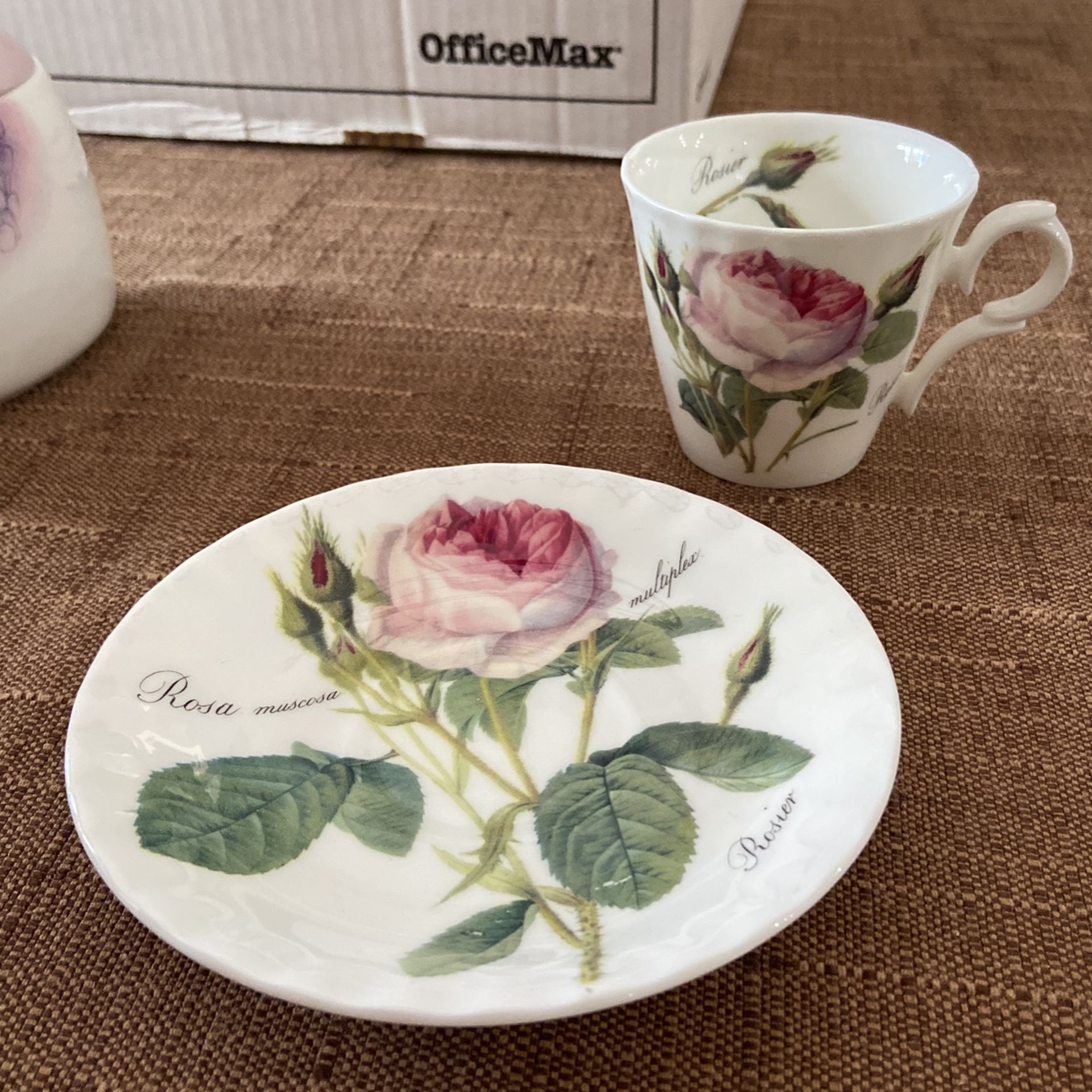 Roy Kirkham Bone China Tea Cup And Saucer