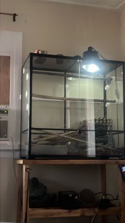 Snake tank tall 36x36x18