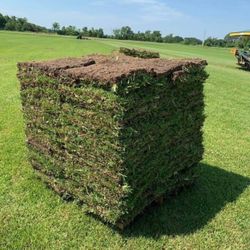 St. Augustine Sod:Delivery Available 