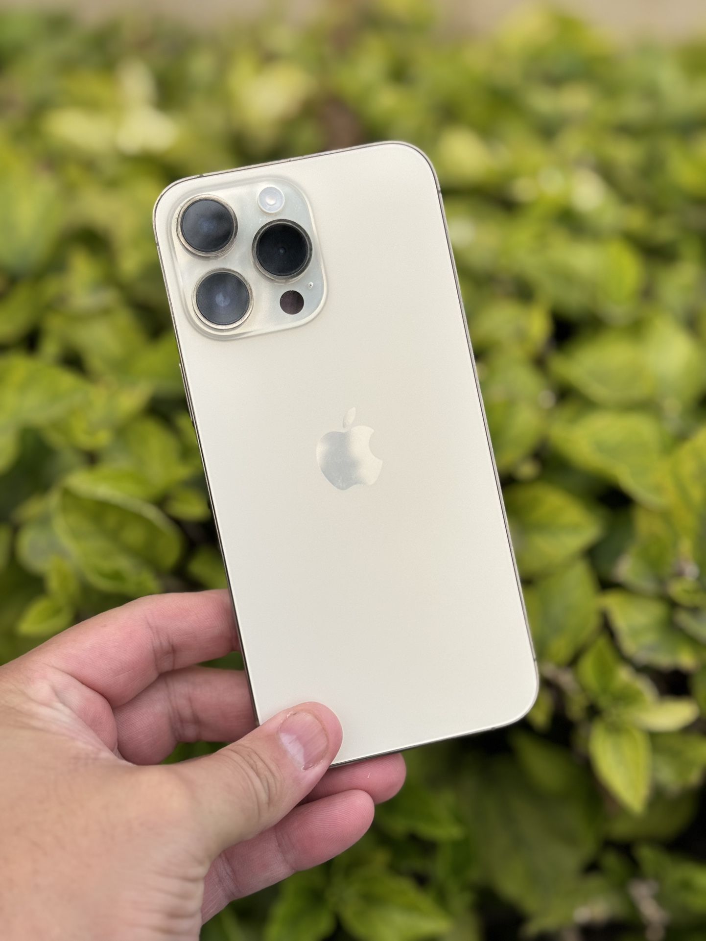 IPhone 14 PRO MAX 128 GB Gold, Mint Condition UNLOCKED use any carrier.  Hablo Espanol.  