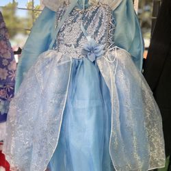 Cinderella/Elsa
