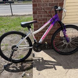 Adult Bicycle 