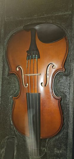 Classical Strings Student 14 viola