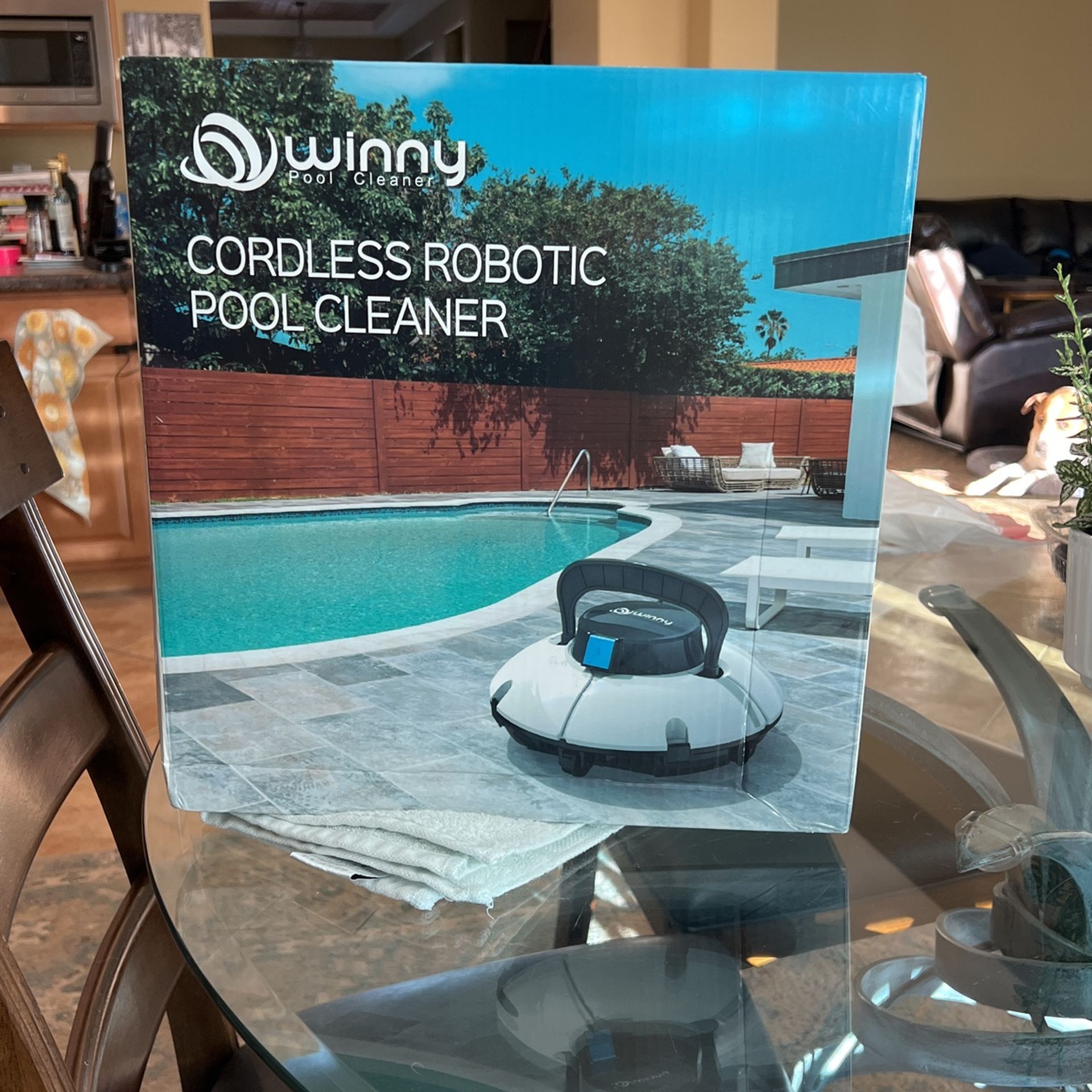 Cordless Robotic Pool Cleaner By winny
