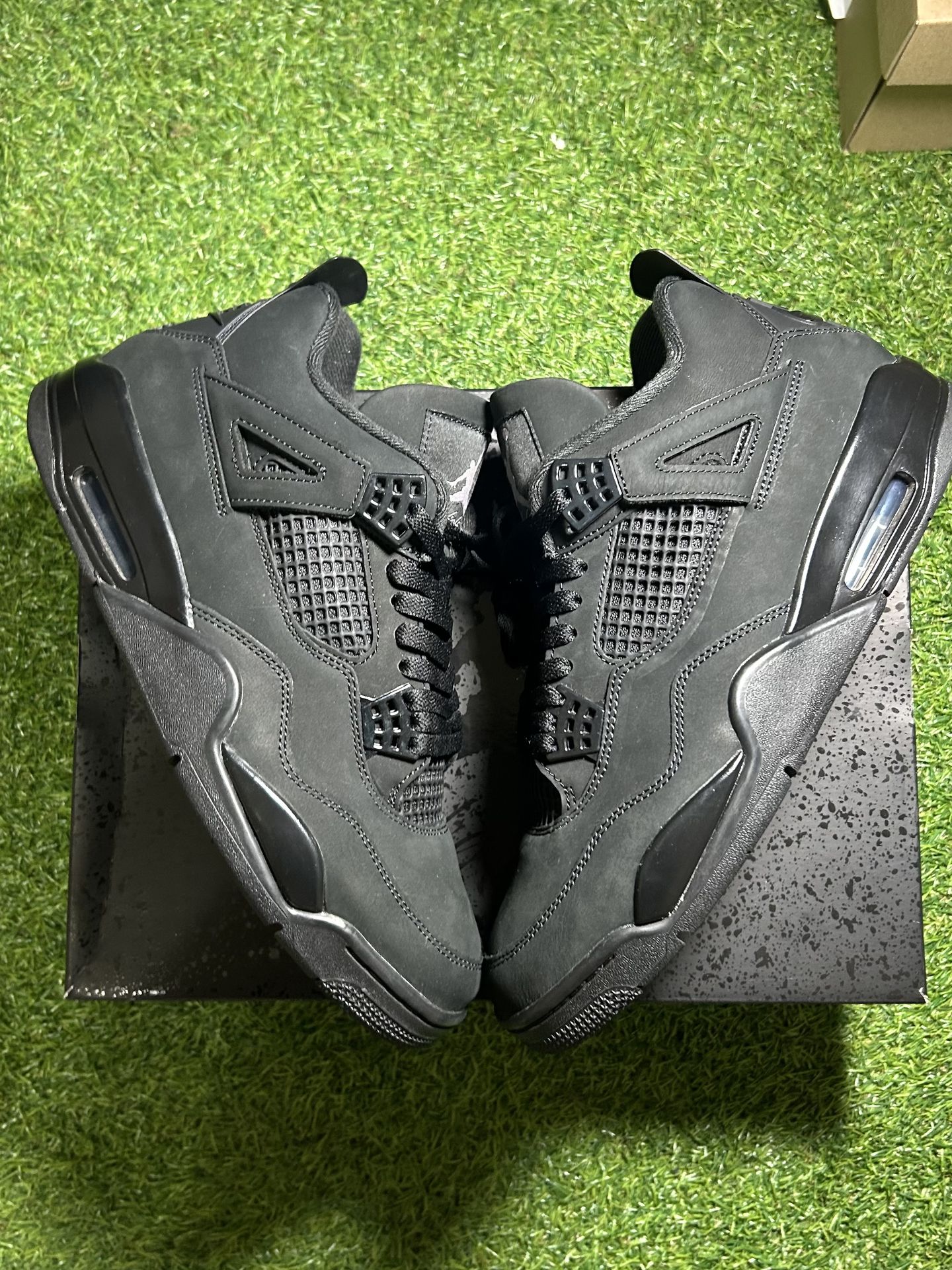 Air Jordan 4 black cat