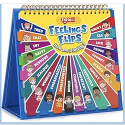 Kids Feeling Flips Educational 