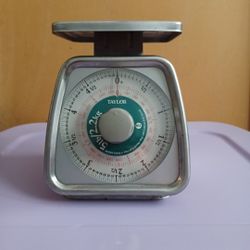 Metal Scale 