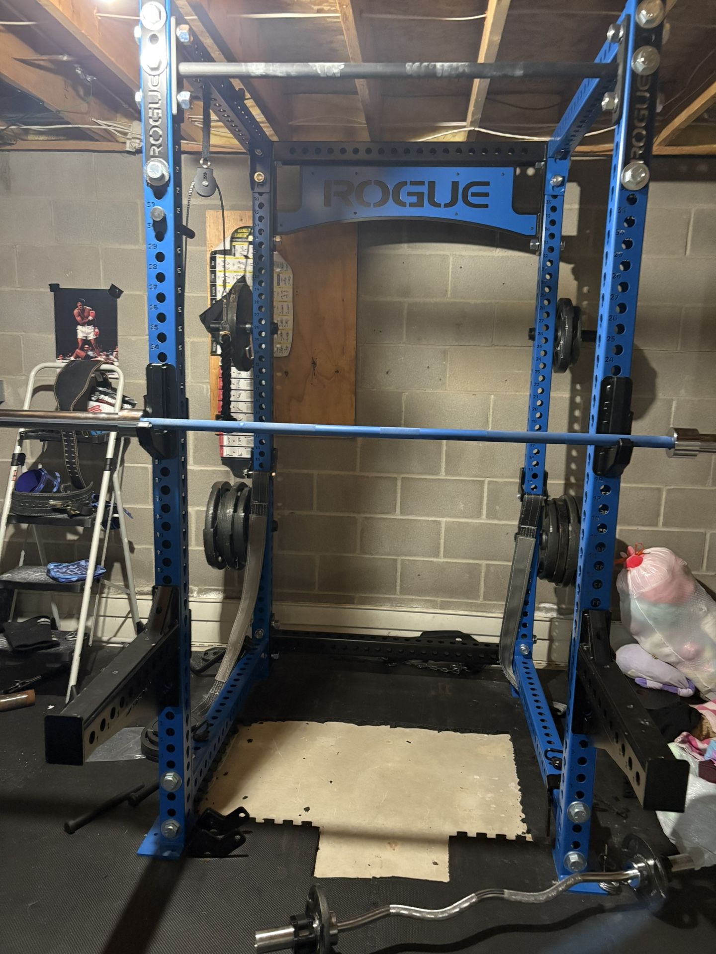 Rogue RM490 Monster Rack - Bright Blue