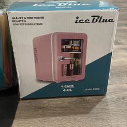 Mini fridge 