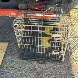 Dog Kennel Or Chicken 🐓 