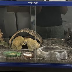 REPTILE TANK 