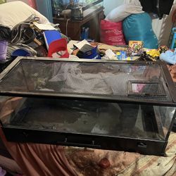 20 Gallon Tank