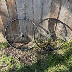 SE Big Flyer 29 Inch Rims