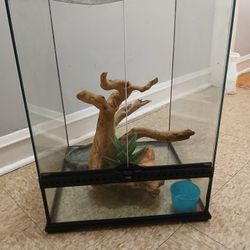 50 Gallon Hamster Ta nk