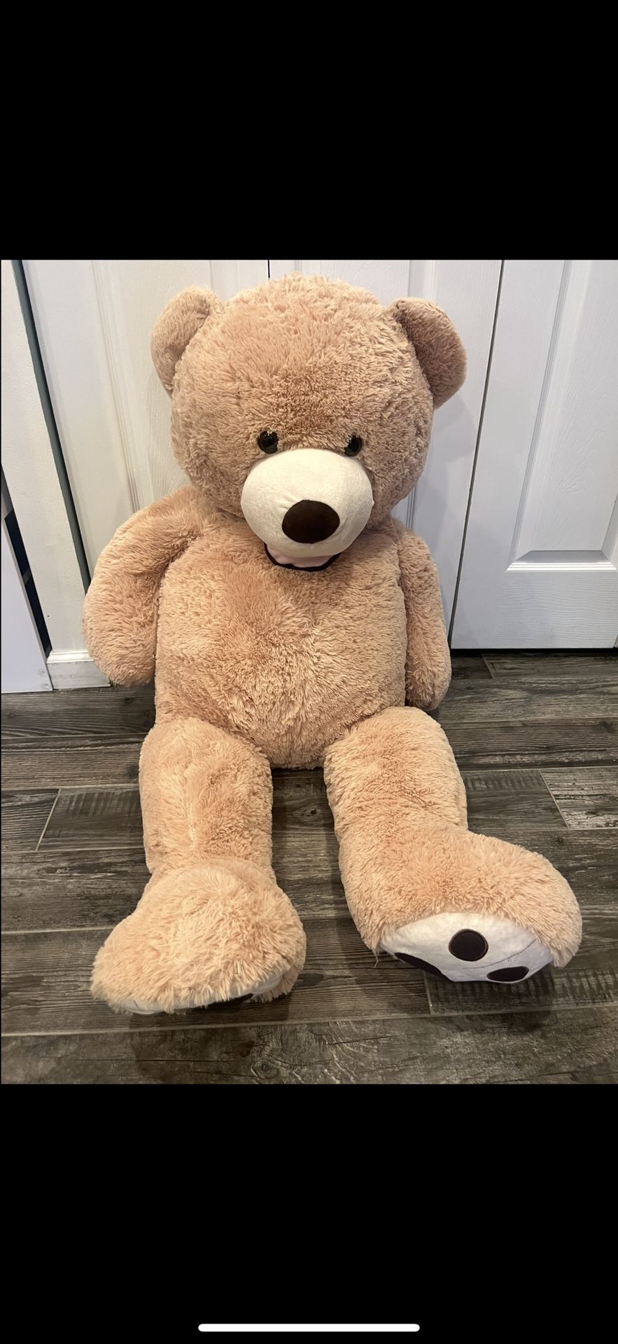 50 Inch Teddy