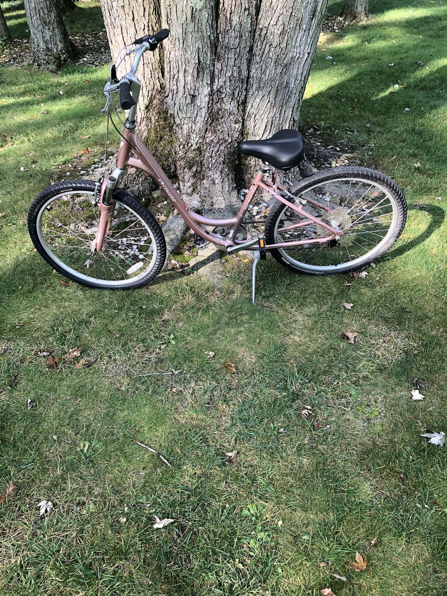 26” Specialized Mountain Bike (step Over)