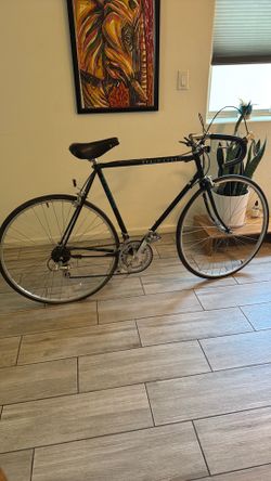 Schwinn World Sport 4130
