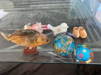 Fish  ,  all  is  Beautiful   For. Decoration   all  Price