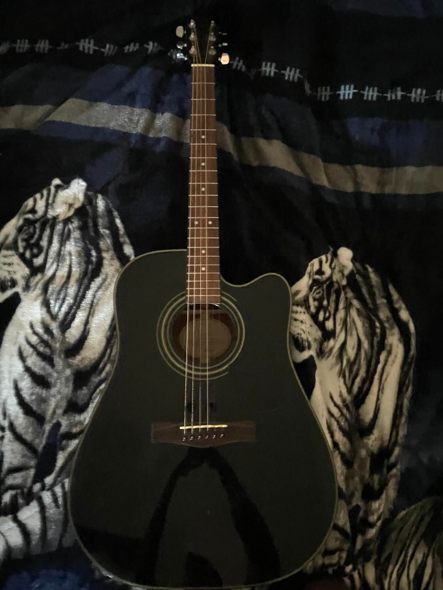 Guitar