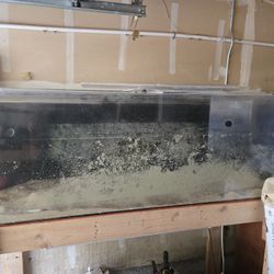 180 Gallon Acrylic 