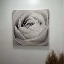Monochrome white rose blossom inner heart macro Canvas Wall Art Decor Paintings