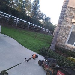 Grass , Cutting , Mower